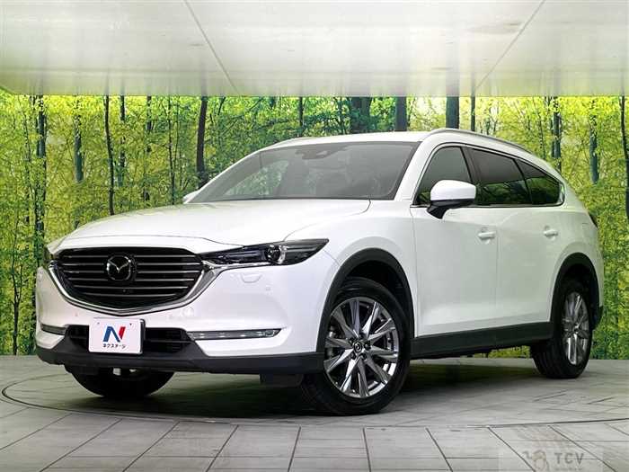 2018 Mazda CX-8