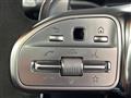 2024 AMG AMG Others