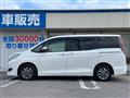 2019 Toyota Esquire