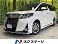 2019 Toyota Alphard