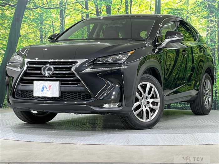 2016 Lexus NX