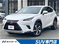 2018 Lexus NX