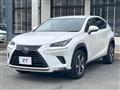 2018 Lexus NX