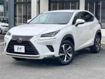 2018 Lexus NX