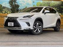 2019 Lexus NX