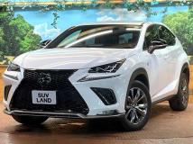 2019 Lexus NX