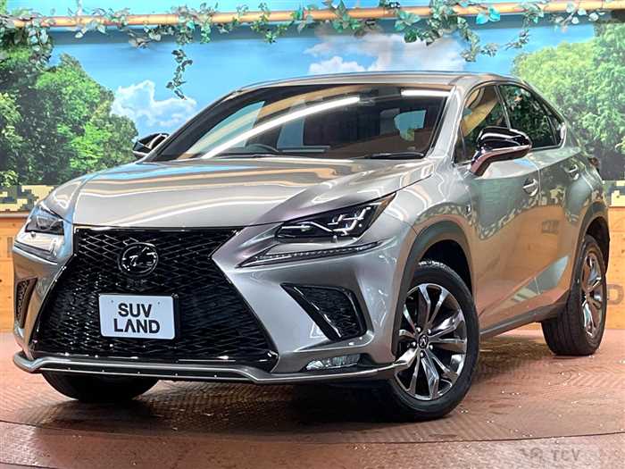 2020 Lexus NX