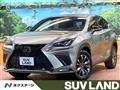 2020 Lexus NX