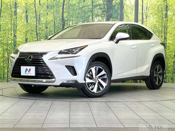 2019 Lexus NX