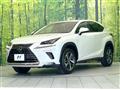 2019 Lexus NX