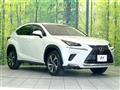 2019 Lexus NX