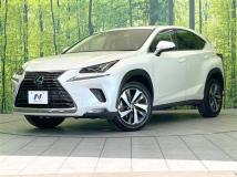 2019 Lexus NX