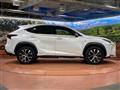 2015 Lexus NX