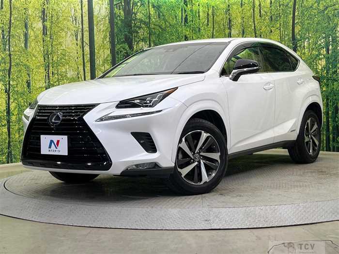 2019 Lexus NX