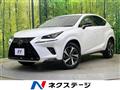2019 Lexus NX