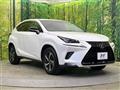 2019 Lexus NX