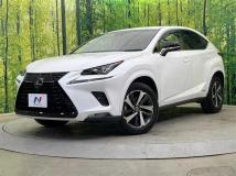 2019 Lexus NX