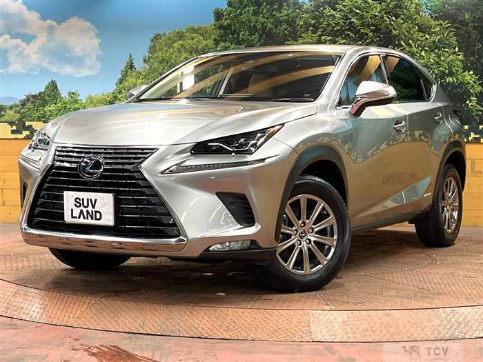 2019 Lexus NX