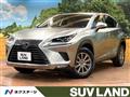 2019 Lexus NX