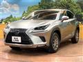 2019 Lexus NX