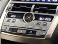 2019 Lexus NX