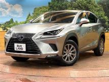 2019 Lexus NX