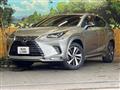 2020 Lexus NX