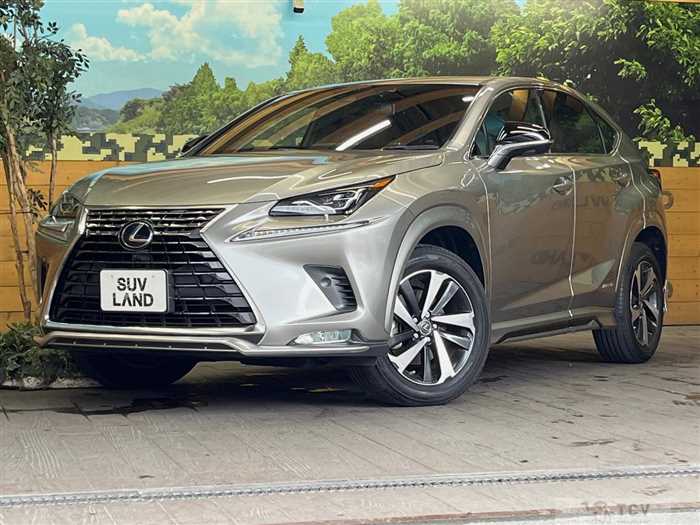 2020 Lexus NX