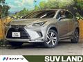 2020 Lexus NX