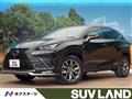2018 Lexus NX