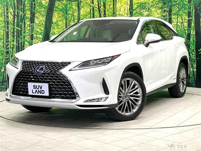 2020 Lexus RX