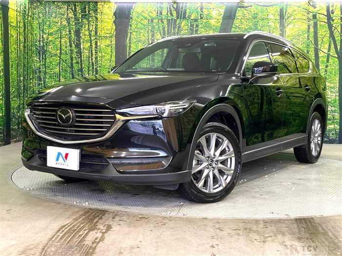 2019 Mazda CX-8