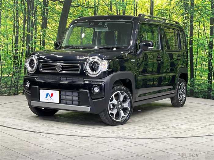 2024 Suzuki Hustler