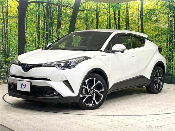 2019 Toyota C-HR