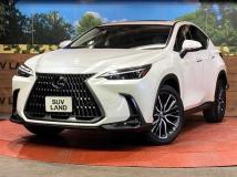 2023 Lexus NX
