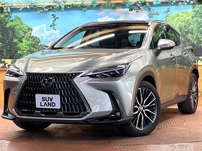 2023 Lexus NX