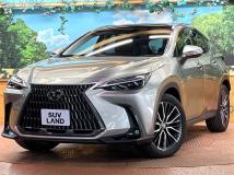 2023 Lexus NX