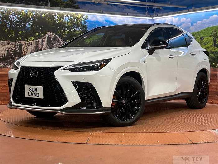 2025 Lexus NX