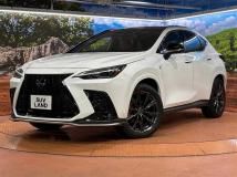 2022 Lexus NX