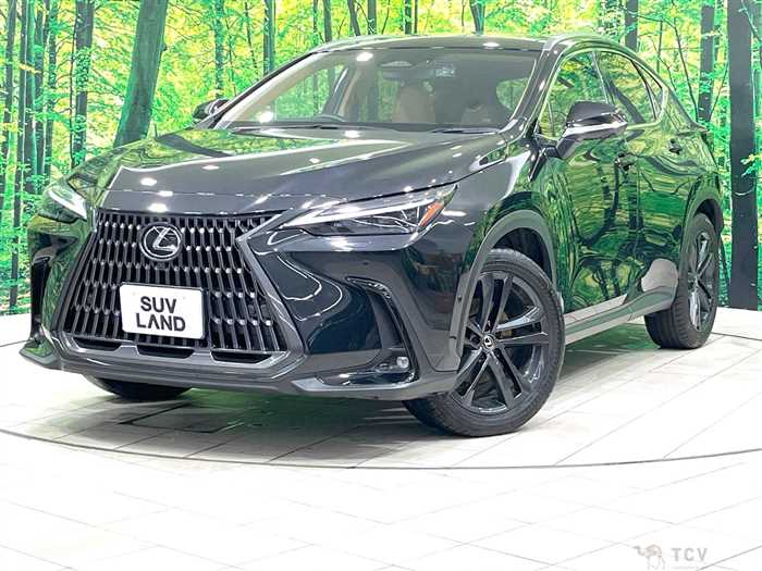 2023 Lexus NX