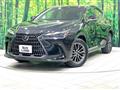 2024 Lexus NX