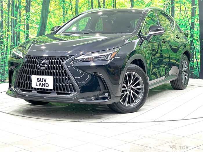 2024 Lexus NX