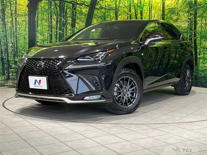 2018 Lexus NX