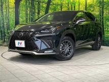 2018 Lexus NX