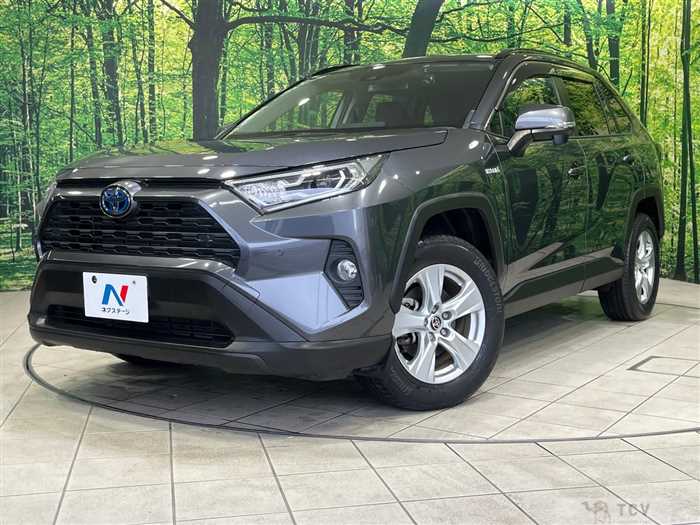 2020 Toyota RAV4