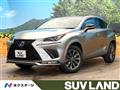 2021 Lexus NX