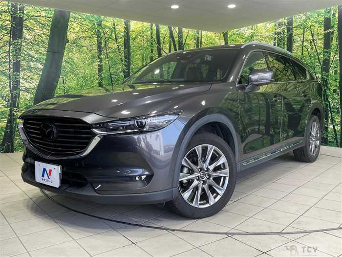 2019 Mazda CX-8