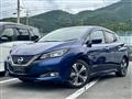 2017 Nissan Nissan Others