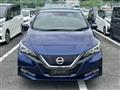 2017 Nissan Nissan Others