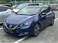 2017 Nissan Nissan Others